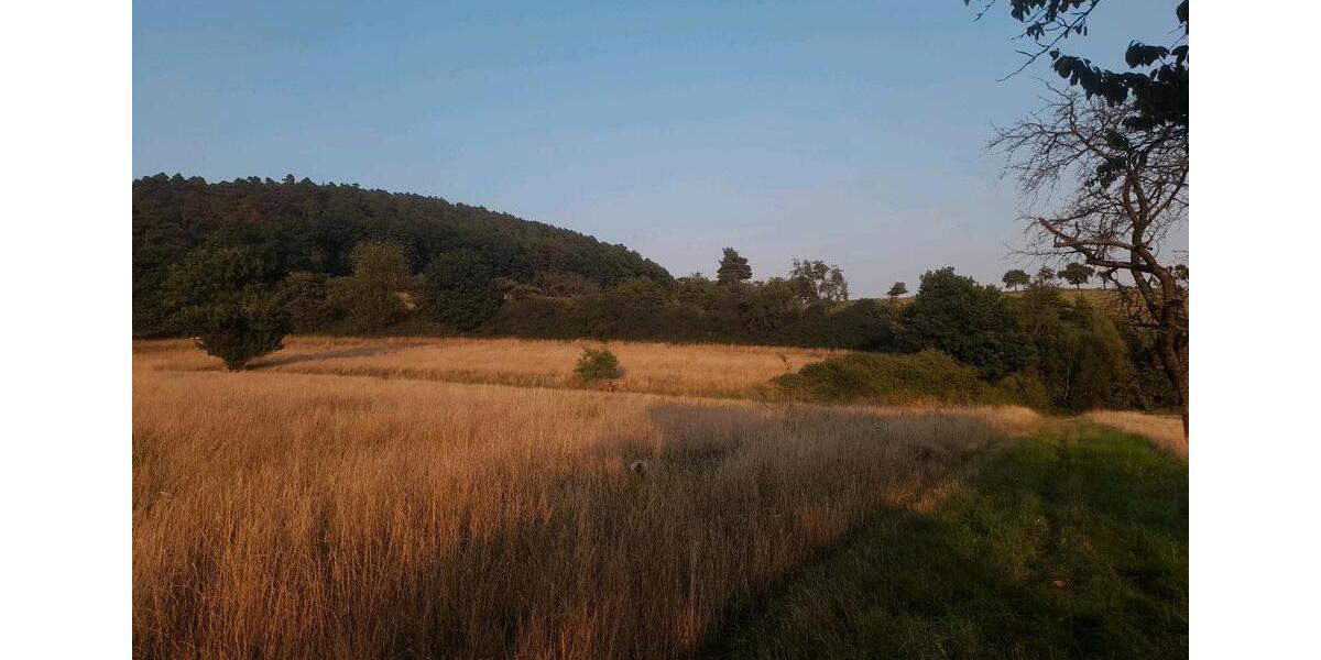 FerienhausWochenendhaus mit ca. 3.000 m² auf dem Warteberg zimmer