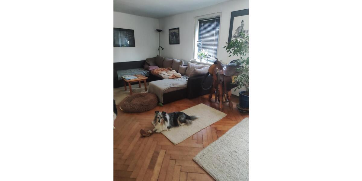 Bauernhaus, Landhaus Königslutter am Elm - 7 Zimmer, 146 m&sup2;, 280.000&euro; | Angebot:26305204