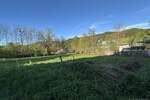 Grundstück Schuttertal - 450.000&euro; | Angebot:25707701