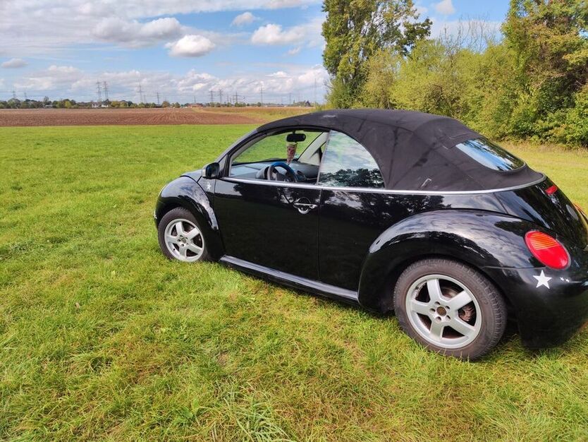 Beetle