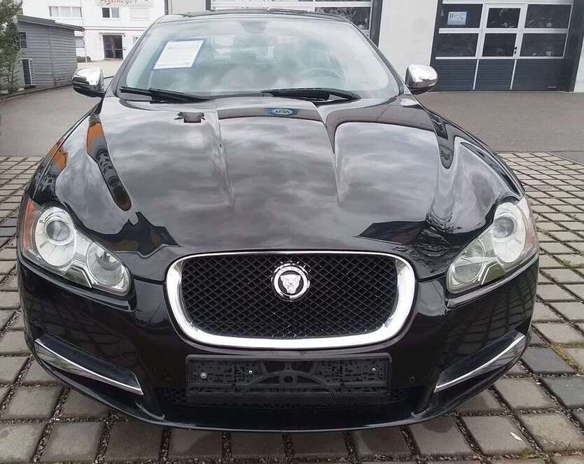 XF