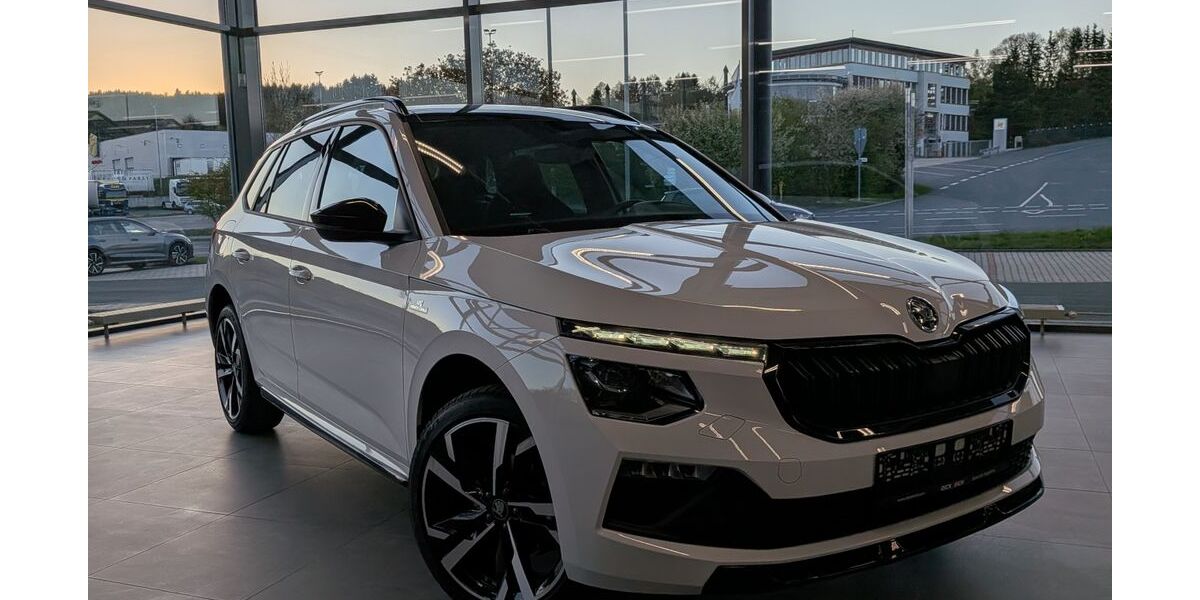 Skoda Kamiq 16.686 km 27.950 &euro; Naila 95119