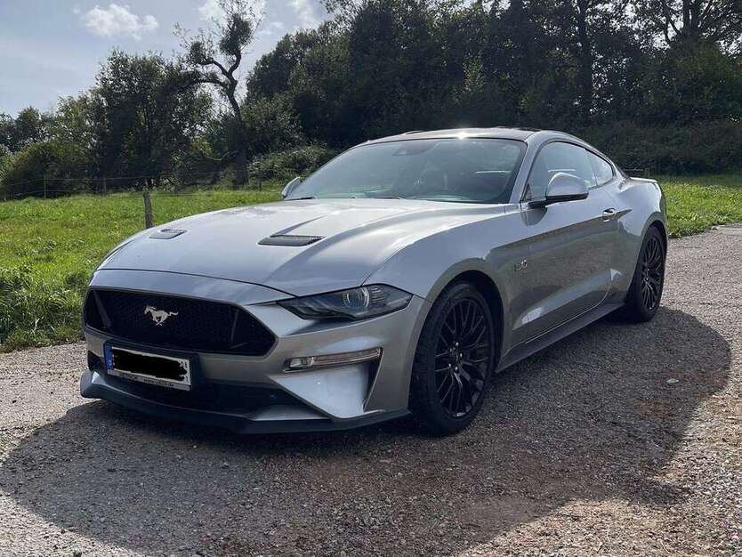 Mustang