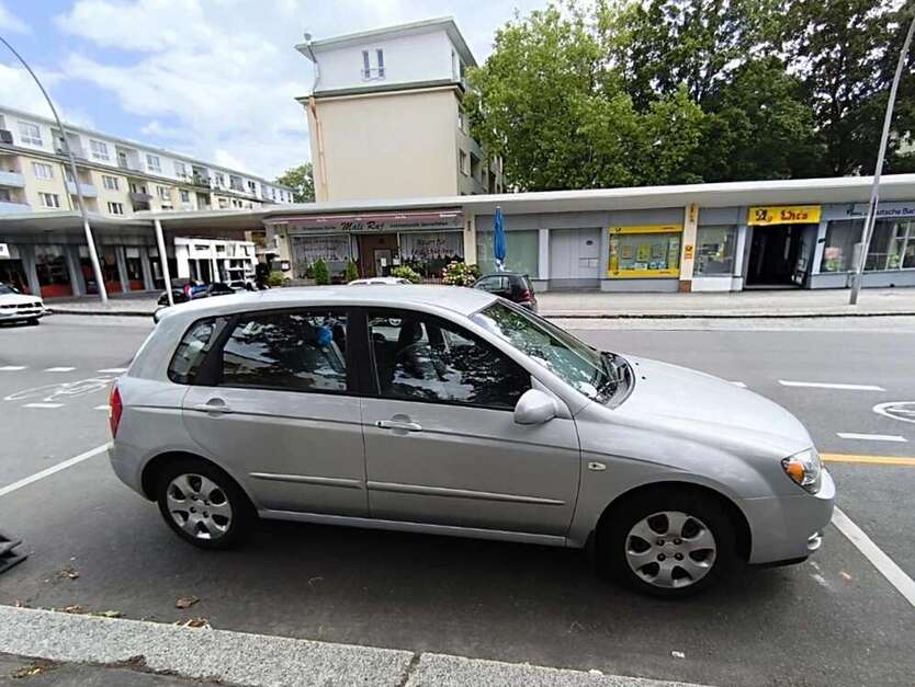 Cerato
