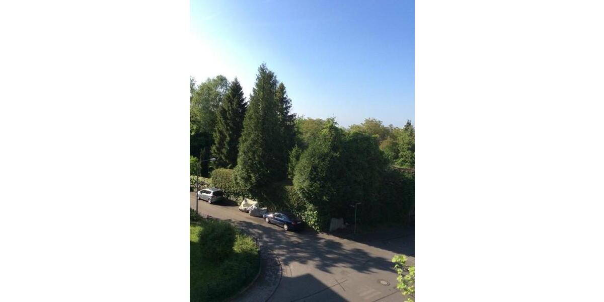 Etagenwohnung Wiesbaden Biebrich - 5 Zimmer, 125 m&sup2;, 1.489&euro; | Angebot:26146367