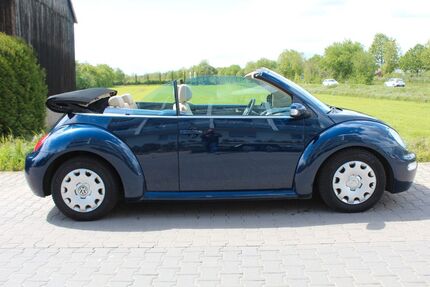 VW New Beetle 195.000 km 1.980 &euro; Worms-Pfeddersheim 67551