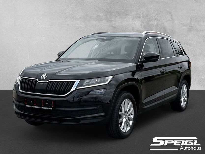 Skoda Kodiaq 113.300 km 24.990 € Chamerau 93466