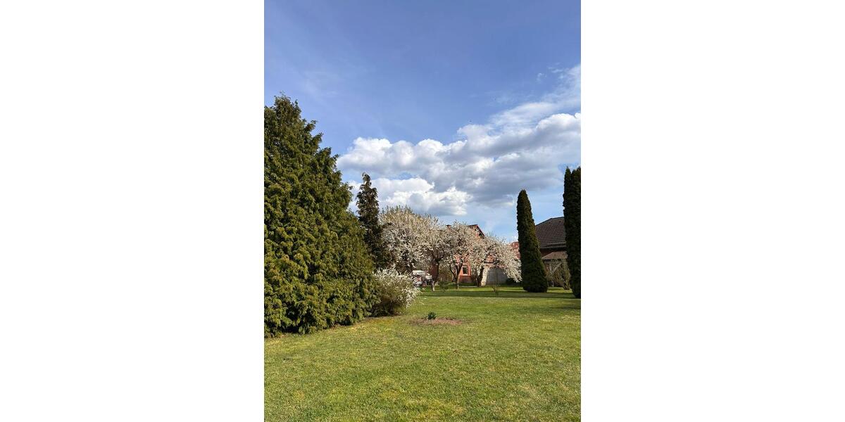 Einfamilienhaus Südharz - 3 Zimmer, 115 m&sup2;, 260.000&euro; | Angebot:26670032