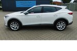Cupra Formentor 1.5 TSI BMT Klima LED Alu 18.400 km 20.390 &euro; Vordorf 38533