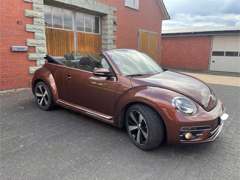 Beetle