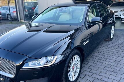 Jaguar XF 93.000 km 14.900 &euro; Troisdorf (10 km Köln-Bonn Airport) 53842