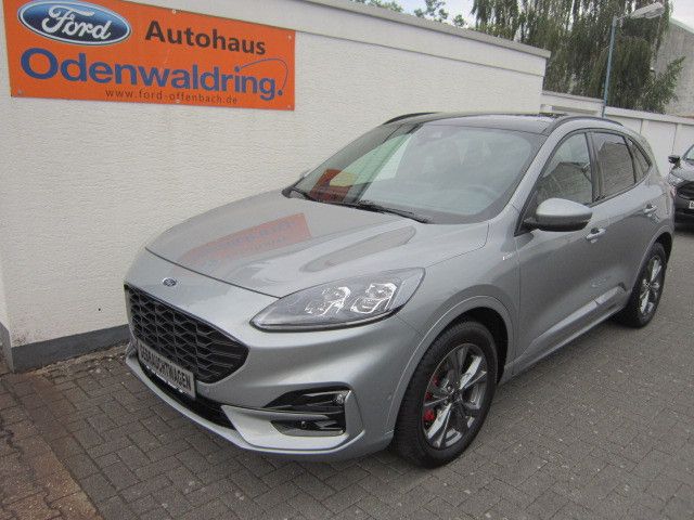 Kuga