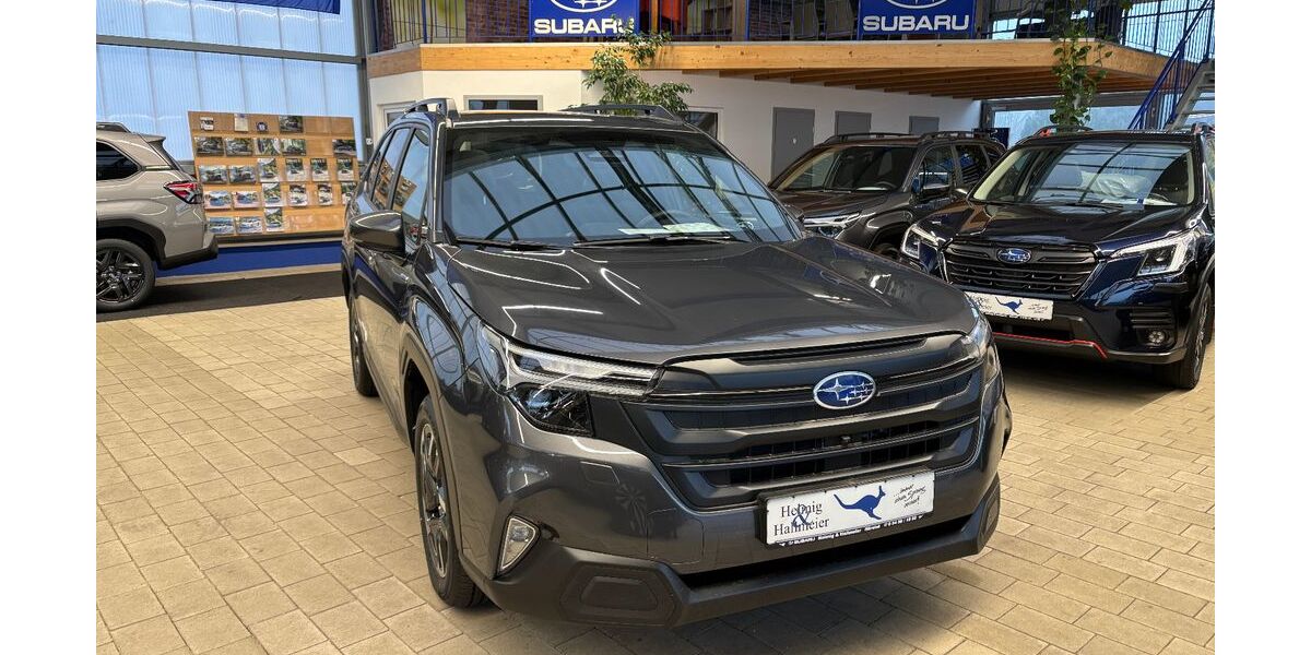 Subaru Forester 1.700 km 39.950 &euro; Hörstel 48477