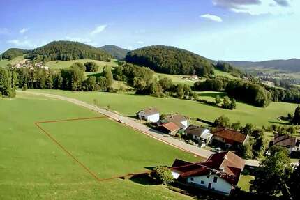 Grundstück zu verkaufen in Ringelai 96.600 € 966 m² zimmer