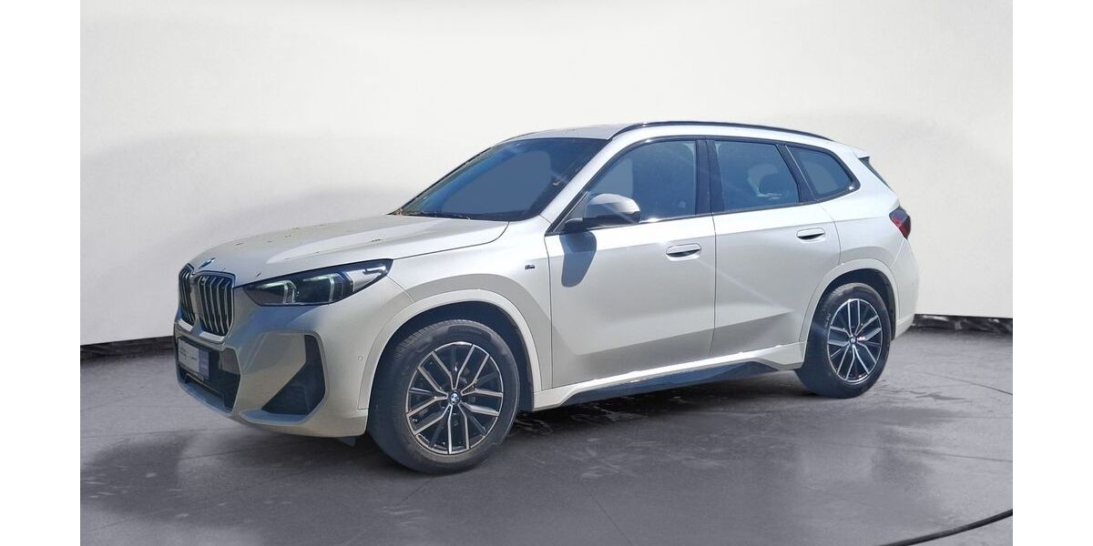 BMW X1 20.456 km 42.790 &euro; Lahr 77933