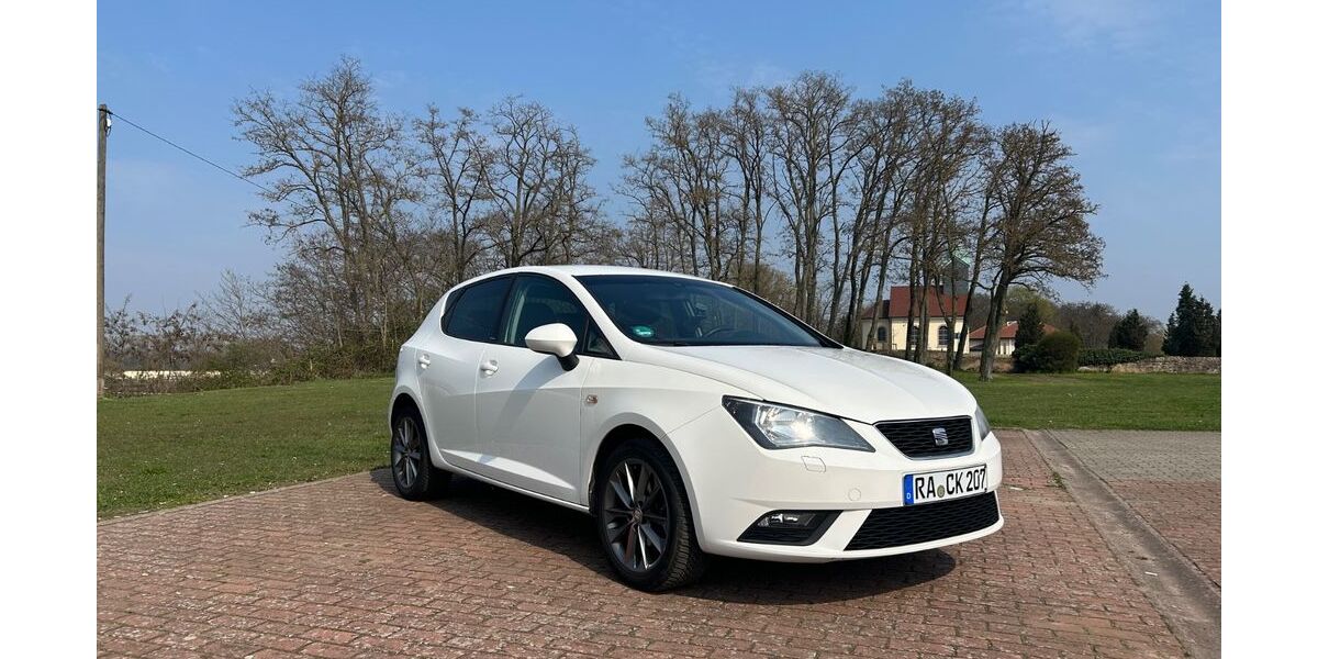 Seat Ibiza 150.897 km 5.000 &euro; Iffezheim 76473