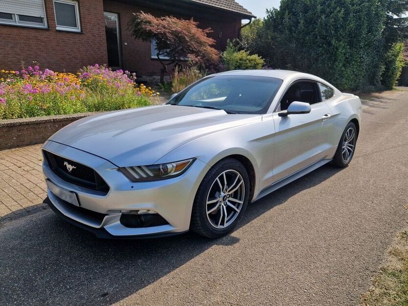Mustang