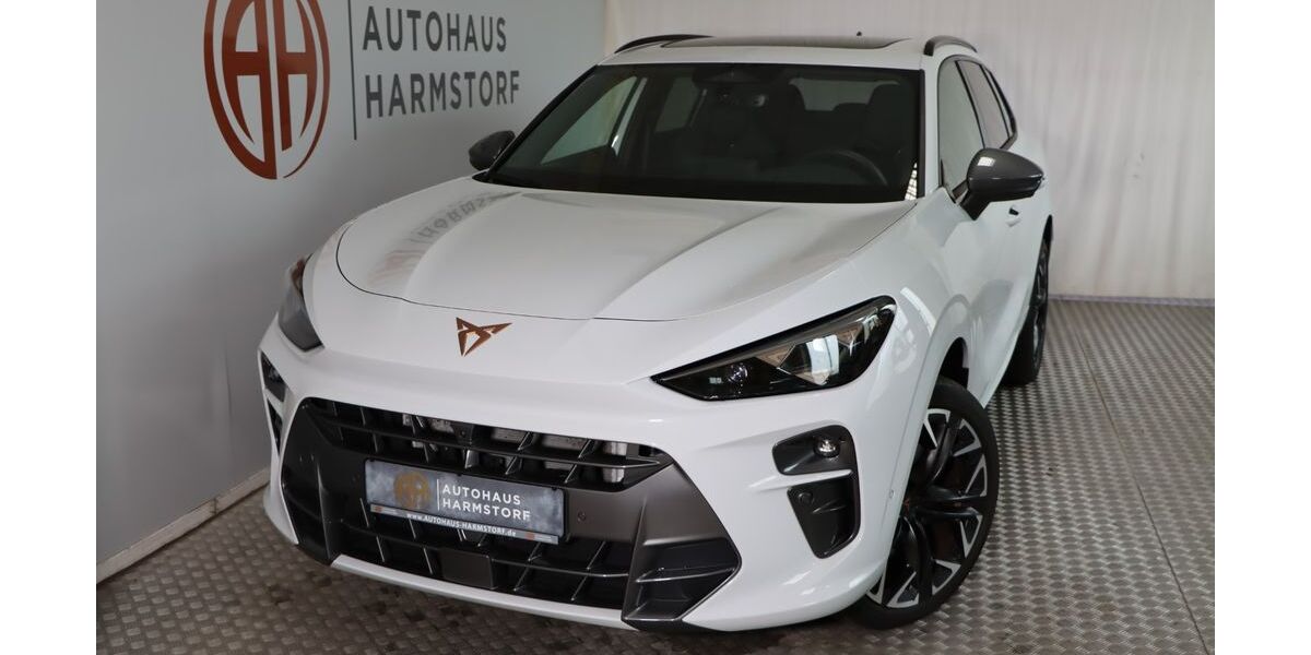 Cupra Terramar 10.100 km 41.490 &euro; Harmstorf/Hamburg 21228