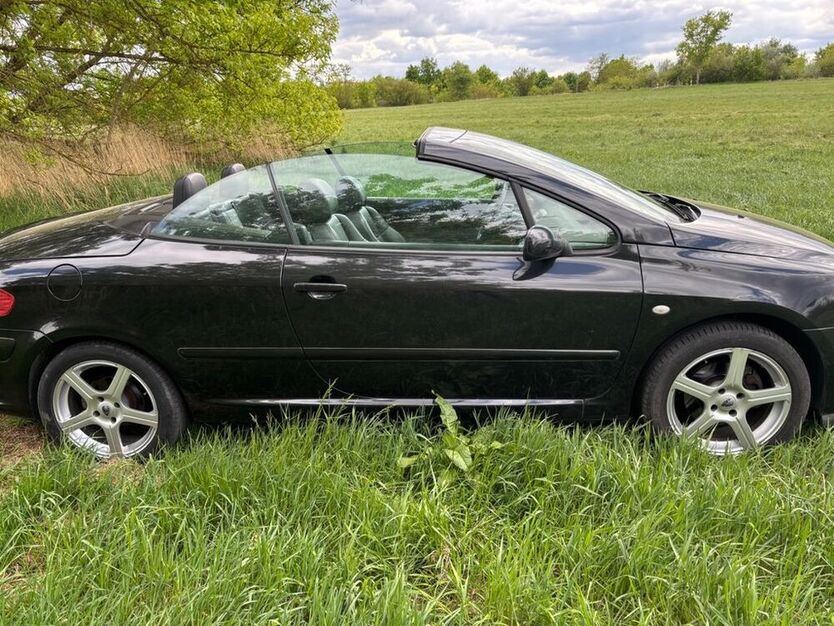 307
