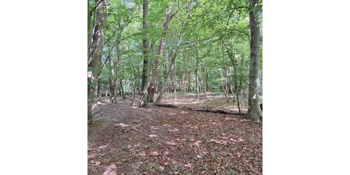 Doppelhaushälfte Putbus - 4 Zimmer, 90 m&sup2;, 260.000&euro; | Angebot:27001858