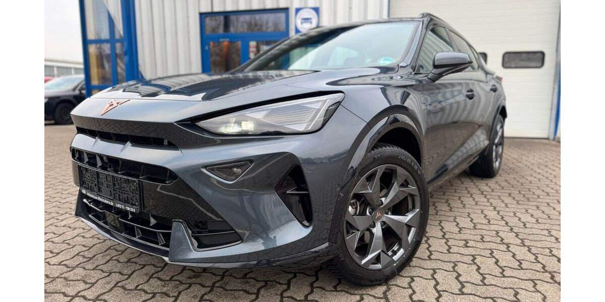 Cupra Formentor 24.300 km 28.999 &euro; Rheinzabern 76764