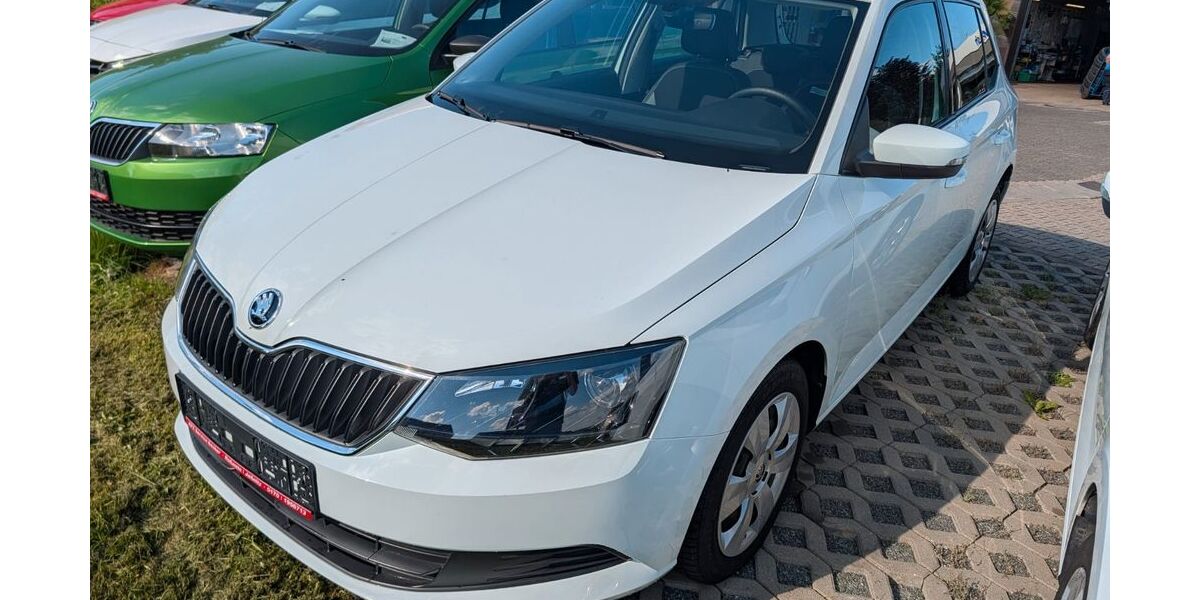 Skoda Fabia 55.005 km 9.999 &euro; Roßwein 04741