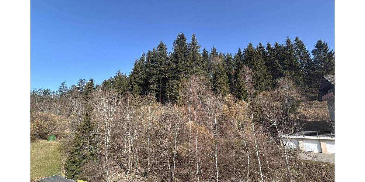 Etagenwohnung Titisee-Neustadt Neustadt - 3 Zimmer, 93 m&sup2;, 265.000&euro; | Angebot:25476119