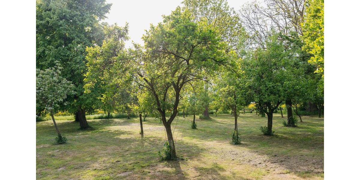 Ländliches Holzhaus Grundstücksfläche 7.000 m² 2 zimmer