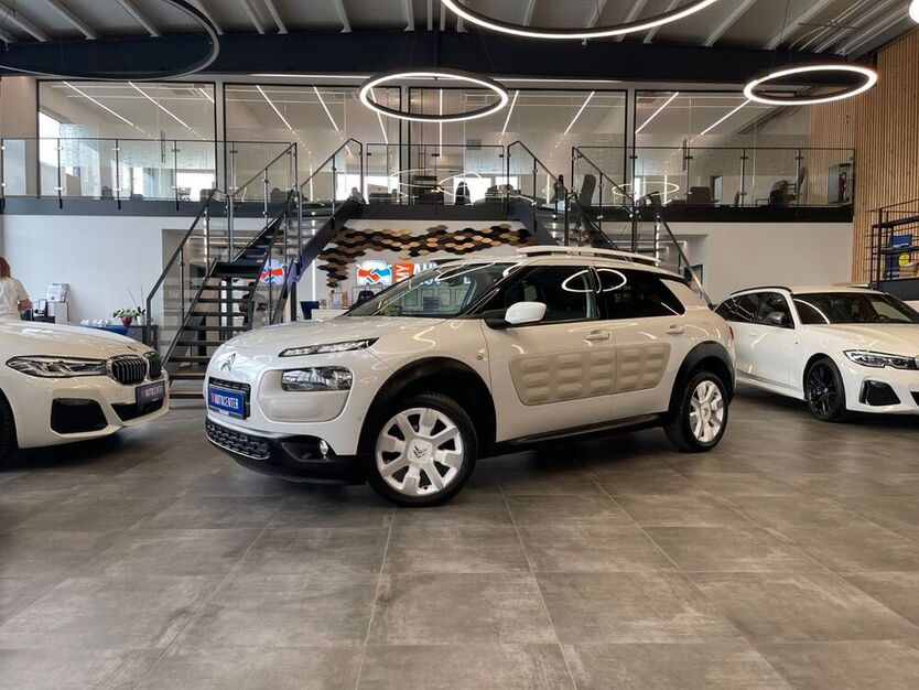 C4 Cactus