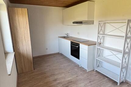 Wohnung Bingen - 1 Zimmer, 20 m&sup2;, 300&euro; | Angebot:26404857