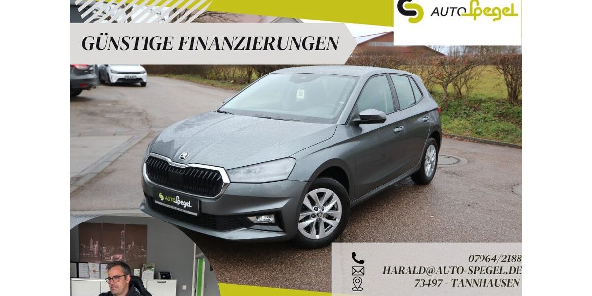 Skoda Fabia 39.261 km 16.990 &euro; Tannhausen 73497