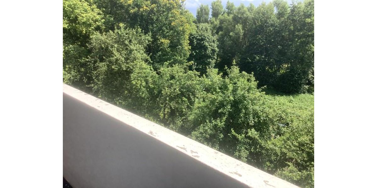 Etagenwohnung Kassel Nordshausen - 3 Zimmer, 75 m&sup2;, 662&euro; | Angebot:26306984