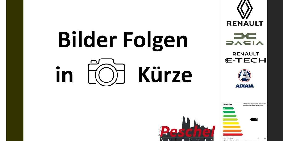 Renault ZOE 56.000 km 13.390 &euro; Meißen 01662