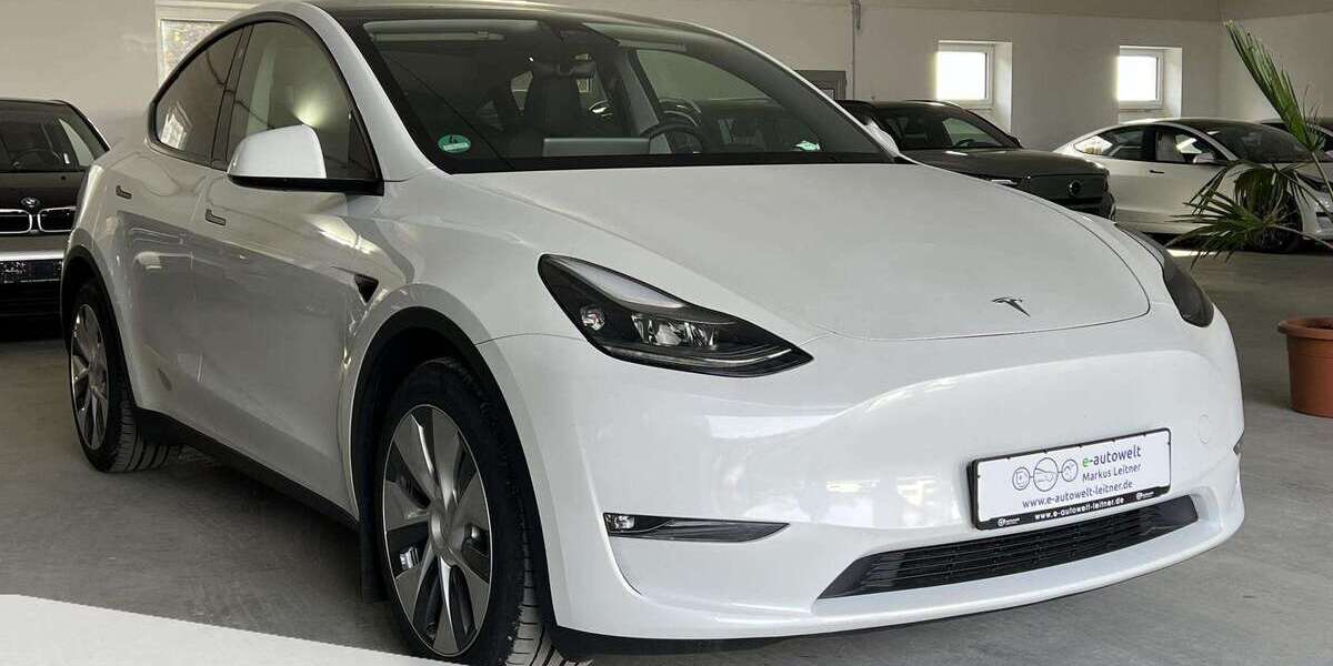 Tesla Model Y 131.500 km 29.390 &euro; Landau a.d.Isar 94405