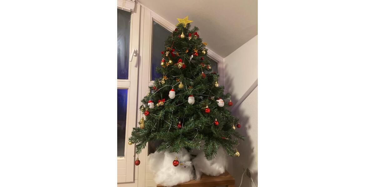 Kurzzeitvermietung eines Zimmers, bevorzugt weiblich] 4 zimmer