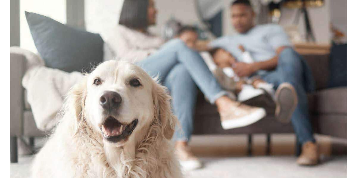 Einfamilienhaus Roetgen - 3 Zimmer, 97 m&sup2;, 339.999&euro; | Angebot:24843284