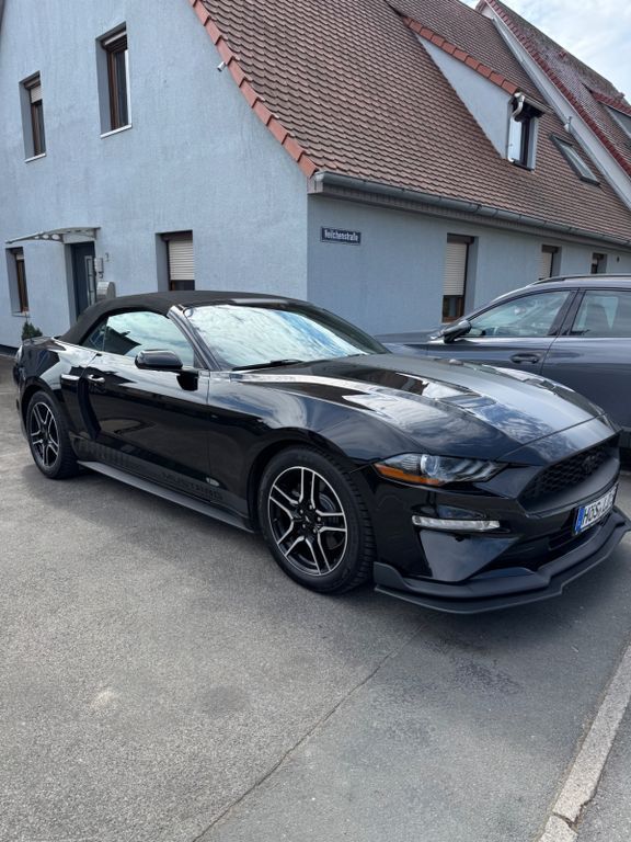 Mustang