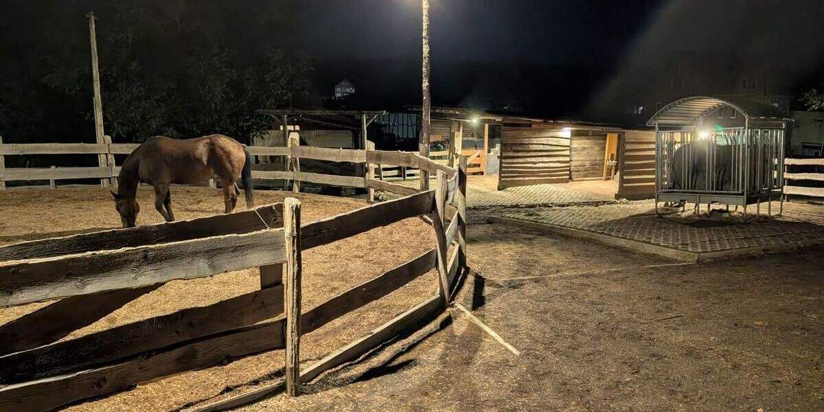 Bauernhaus, Landhaus Simmern/Hunsrück Hunsrück - 445.000&euro; | Angebot:25770278