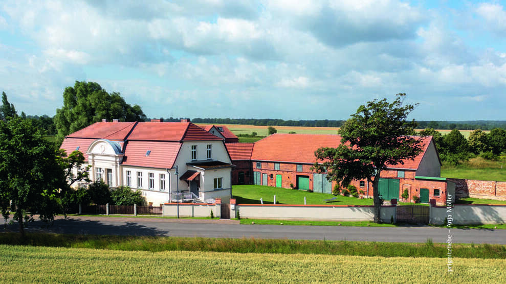 Haus zum Kaufen in Meyenburg 1.275.000 € 245 m²
