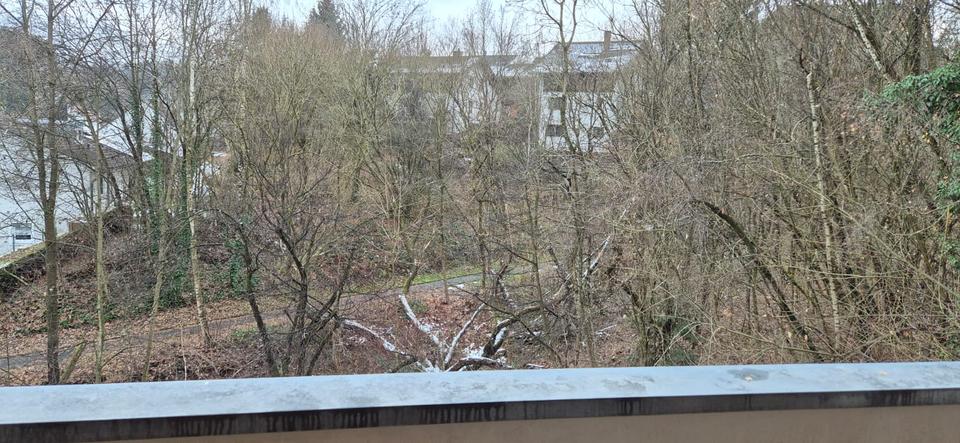 Etagenwohnung Passau Auerbach - 2 Zimmer, 45 m&sup2;, 650&euro; | Angebot:26403635