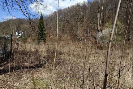 Grundstück in Werdau 65.000 € 2010 m² zimmer