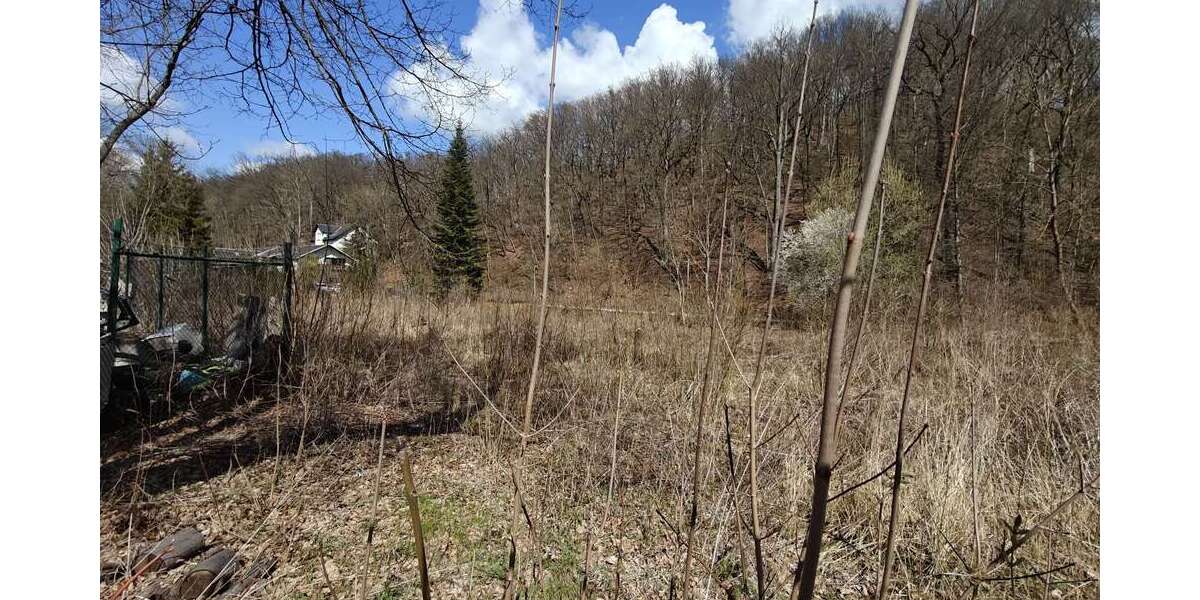 Grundstück in Werdau 65.000 € 2010 m² zimmer