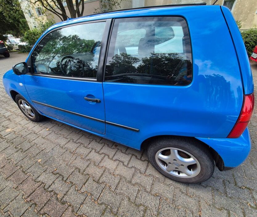 Lupo