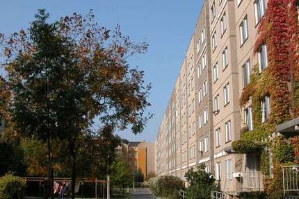 Wohnung zum Mieten in Dresden 320 € 47.43 m² 2 zimmer