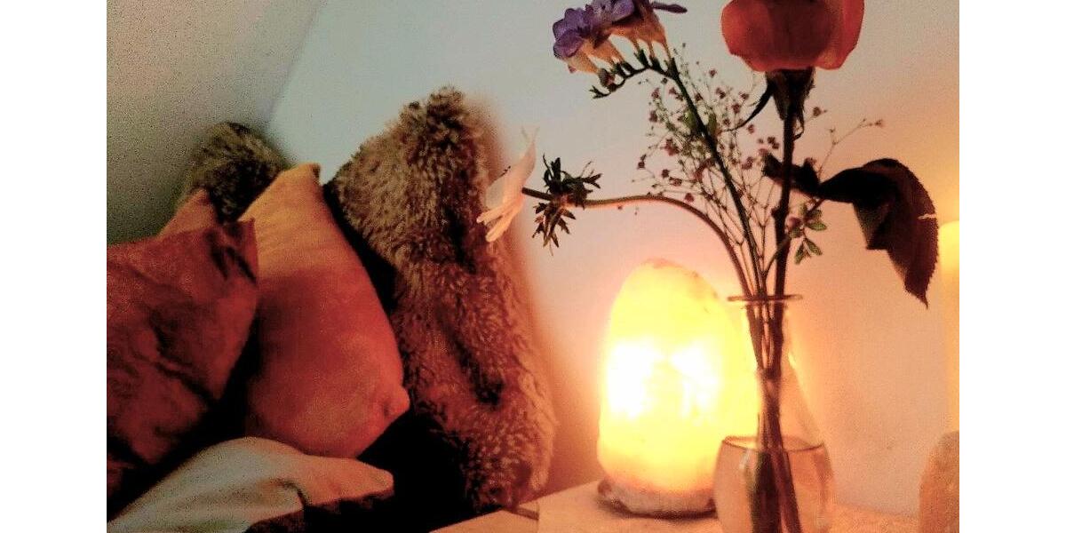 Ferienimmobilie Leipzig Altwest - 90&euro; | Angebot:26620871