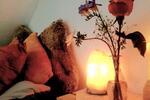 Ferienimmobilie Leipzig Altwest - 90&euro; | Angebot:26620871