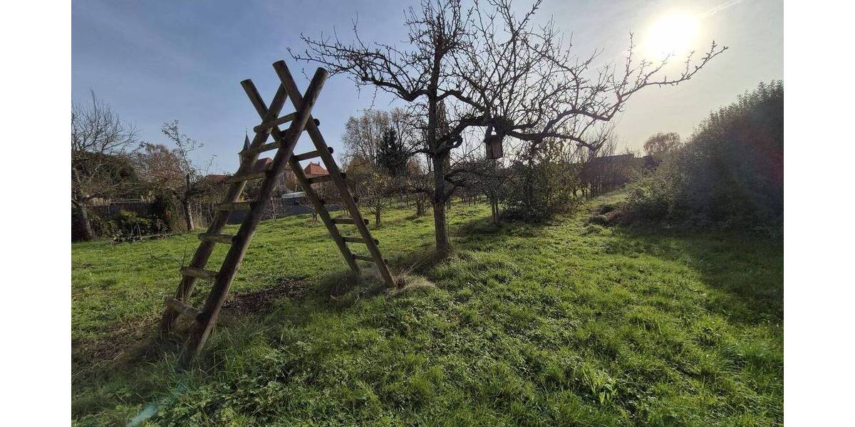 Mehrfamilienhaus, Wohnhaus Eppingen Rohrbach - 1 Zimmer, 270 m&sup2;, 625.000&euro; | Angebot:26029996