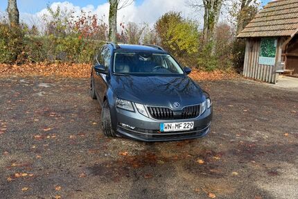 Skoda Octavia 89.500 km 19.150 &euro; Kaisersbach 73667