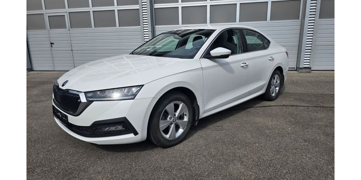 Skoda Octavia 170.100 km 12.990 &euro; Langenenslingen 88515