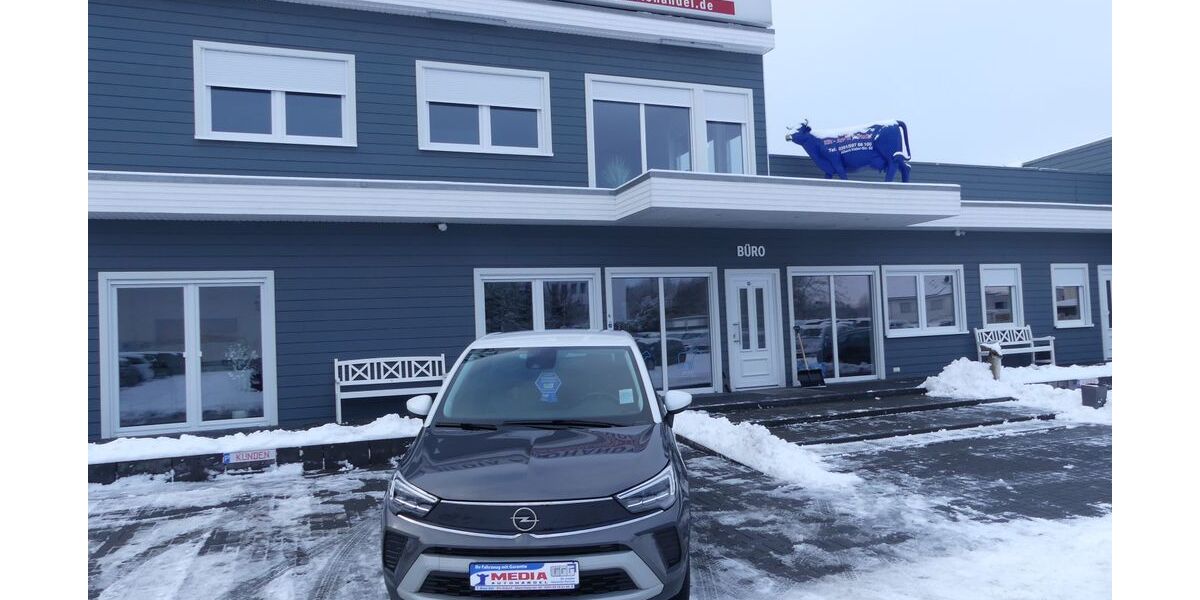 Opel Crossland (X) 26.000 km 17.900 &euro; Magdeburg 39108